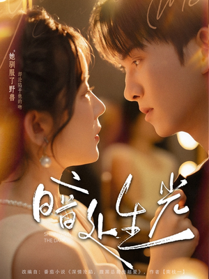 暗处生光（82集）免费在线看