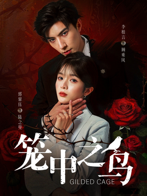 笼中之鸟（70集）古装短剧热播