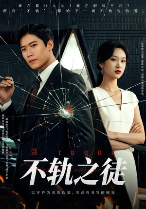 不轨之徒（72集）短剧介绍