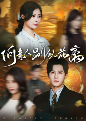 何意人别似花离（61集）这部短剧太好看