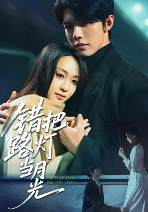 错把路灯当月光（40集）全剧免费观看