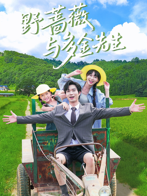 野蔷薇与多金先生（63集）免费在线看