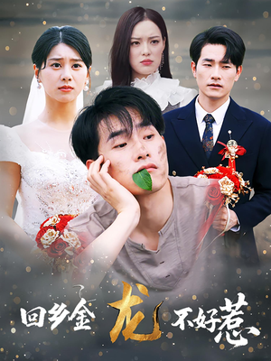 回乡金龙不好惹（74集）免费看