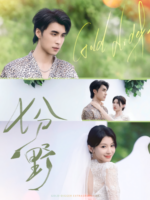 七分野（78集）越看越好看短剧