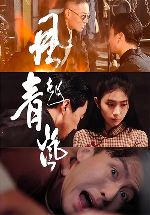 风起青岚（96集）番茄短剧看全集