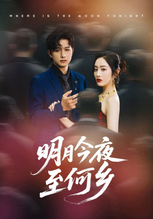 明月今夜至何乡（70集）热播短剧来袭