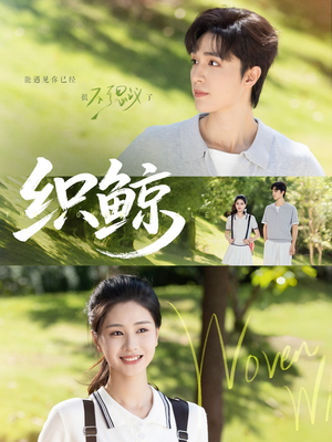 织鲸（86集）热播短剧追不停