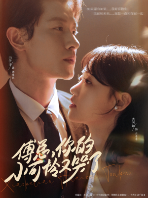 傅总你的小可怜又哭了（80集）精彩短剧天天看