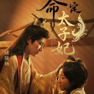 命定太子妃（63集）最后一集
