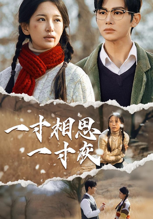 一寸相思一寸灰（43集）零花钱看整部剧