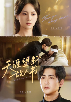 天涯望断故人书（60集）免费版