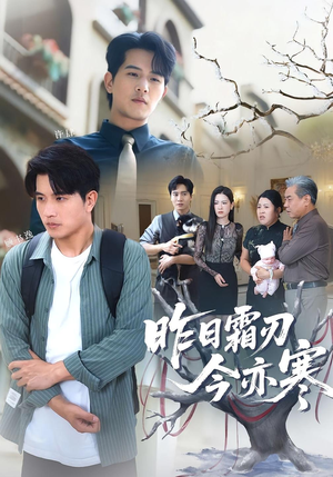 昨日霜刃今亦寒（80集）真的太精彩了