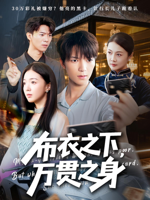布衣之下万贯之身（74集）免费版