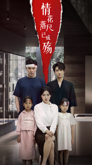 情花落尽已成殇（60集）短剧每日分享