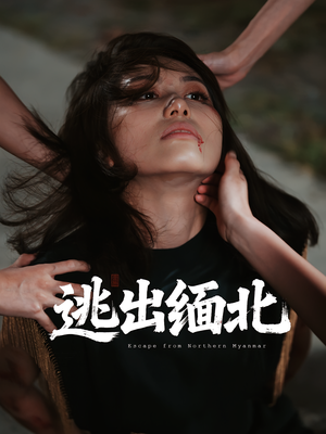 逃出缅北（62集）在线免费观看
