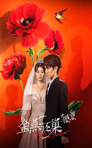 金燕还巢当感恩（55集）怎么看全集