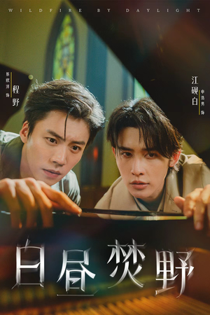 白昼焚野（70集）抢先看热门短剧