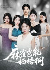 麻雀岂能栖梧桐（31集）短剧精彩片段