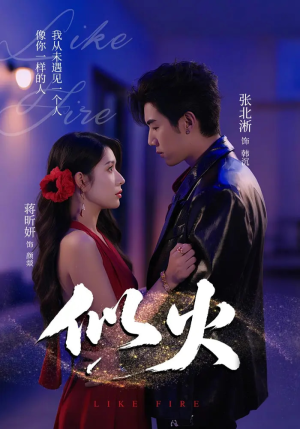 似火（80集）精彩好看的短剧