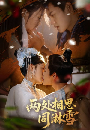 两处相思同淋雪（60集）精彩连连免费看