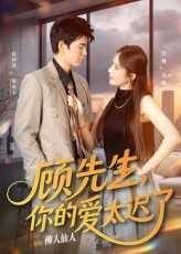 顾先生你的爱太迟了（60集）热播短剧抢先看