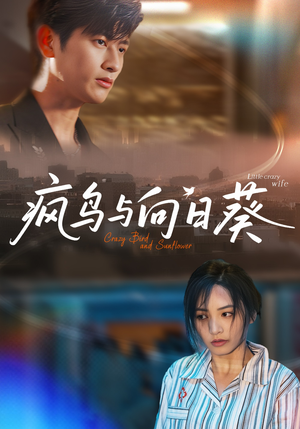 疯鸟与向日葵（40集）短剧热门分享