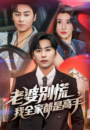 婆别慌我全家都是高手（58集）太好看了短剧