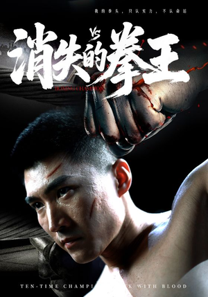 消失的拳王（72集）免费在线看