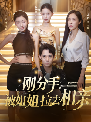 刚分手被姐姐拉去相亲（73集）番茄免费短剧