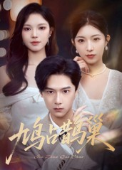 鸠占鹊巢&顶流夫人的致命陷阱（70集）在线看完整版