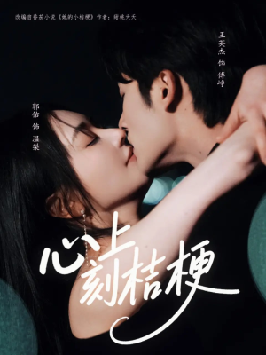 心上刻桔梗（90集）在哪个平台看好