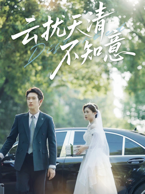 云扰天清不知意（60集）更新时间