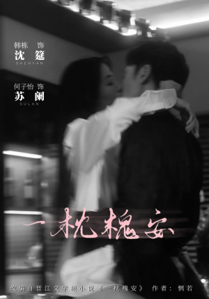 一枕槐安（80集）在线播放