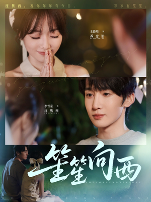 笙笙向西（75集）评价怎么样