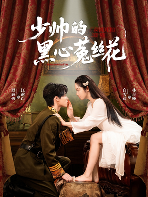 少帅的黑心菟丝花（60集）无需充值尽情看
