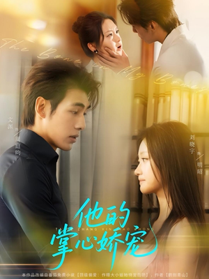 他的掌心娇宠（60集）热播短剧全集看