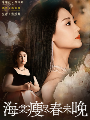 海棠瘦尽春未晚（62集）评价怎么样