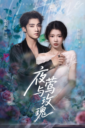 夜莺与玫瑰（66集）精彩不断免费看