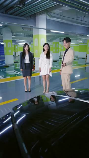 系统误判我的糟糠之妻是校花 (81集)全部免费看全集