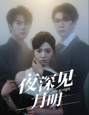 夜深见月明（50集）短剧免费看