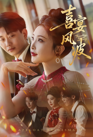 喜宴风波&替罪伴娘（30集）剧情简介