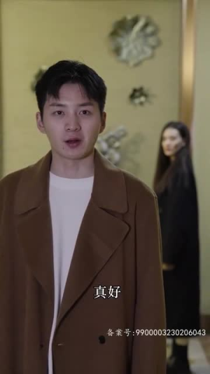 黯然失色（80集）火爆短剧推荐