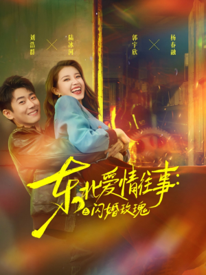 东北爱情往事闪婚玫瑰（89集）看到大结局