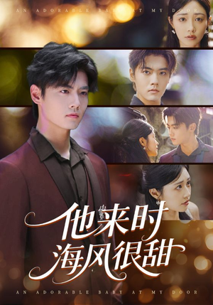 他来时海风很甜（60集）最后的大结局
