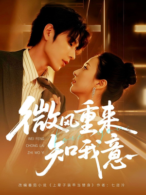 微风重来知我意（62集）海量短剧免费看