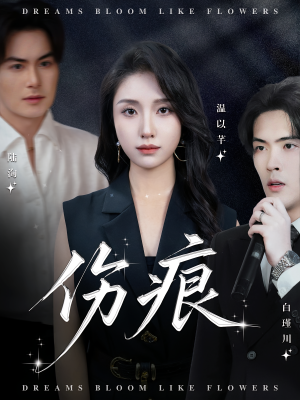 伤痕（60集）追风的女孩短剧