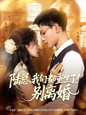 陆总我们都重生了别离婚（79集）好看吗