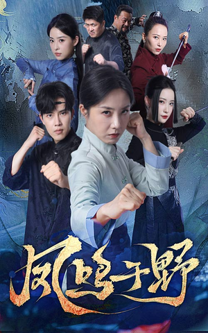 凤鸣于野（60集）百度网盘资源