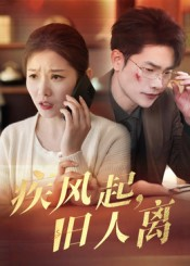 疾风起旧人离（32集）短剧全集抢先看