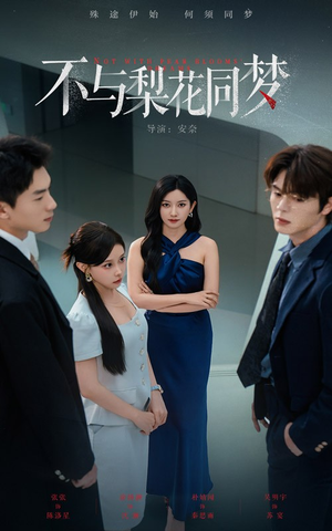 不与梨花同梦（50集）热门短剧追到爽